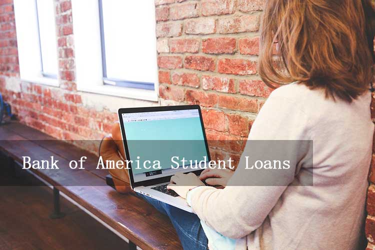 Read more about the article Bank of America Student Loans: What Happened and Alternatives