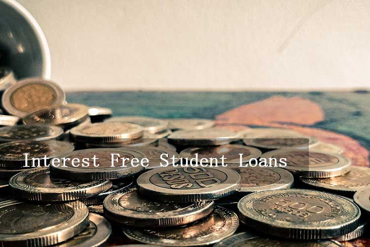 Read more about the article Interest Free Student Loans: Your Essential Guide