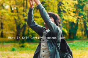 Read more about the article What Is Self Certify Student Loan? Everything You Need to Know