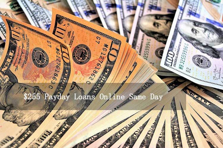 Read more about the article $255 Payday Loans Online Same Day-Instant Funds for Emergencies